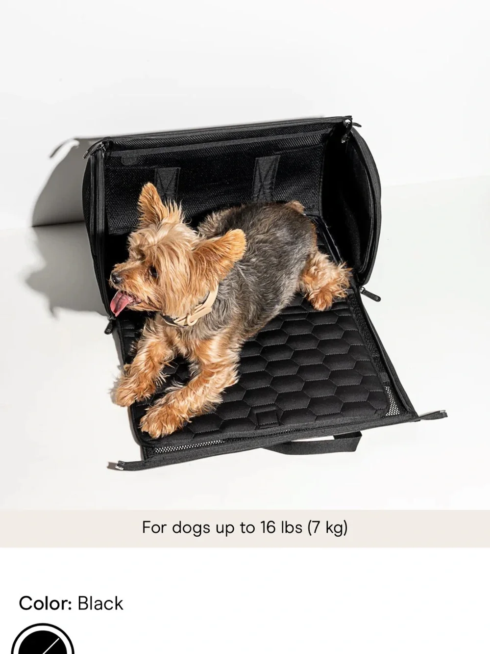 Wild One Cream Pet Travel Carrier with Padded Shoulder Strap